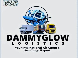 INTERNATIONAL CARGO & LOGISTICS