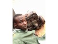 daniel-autos-auto-mobile-repair-or-mechanic-lagos-small-0